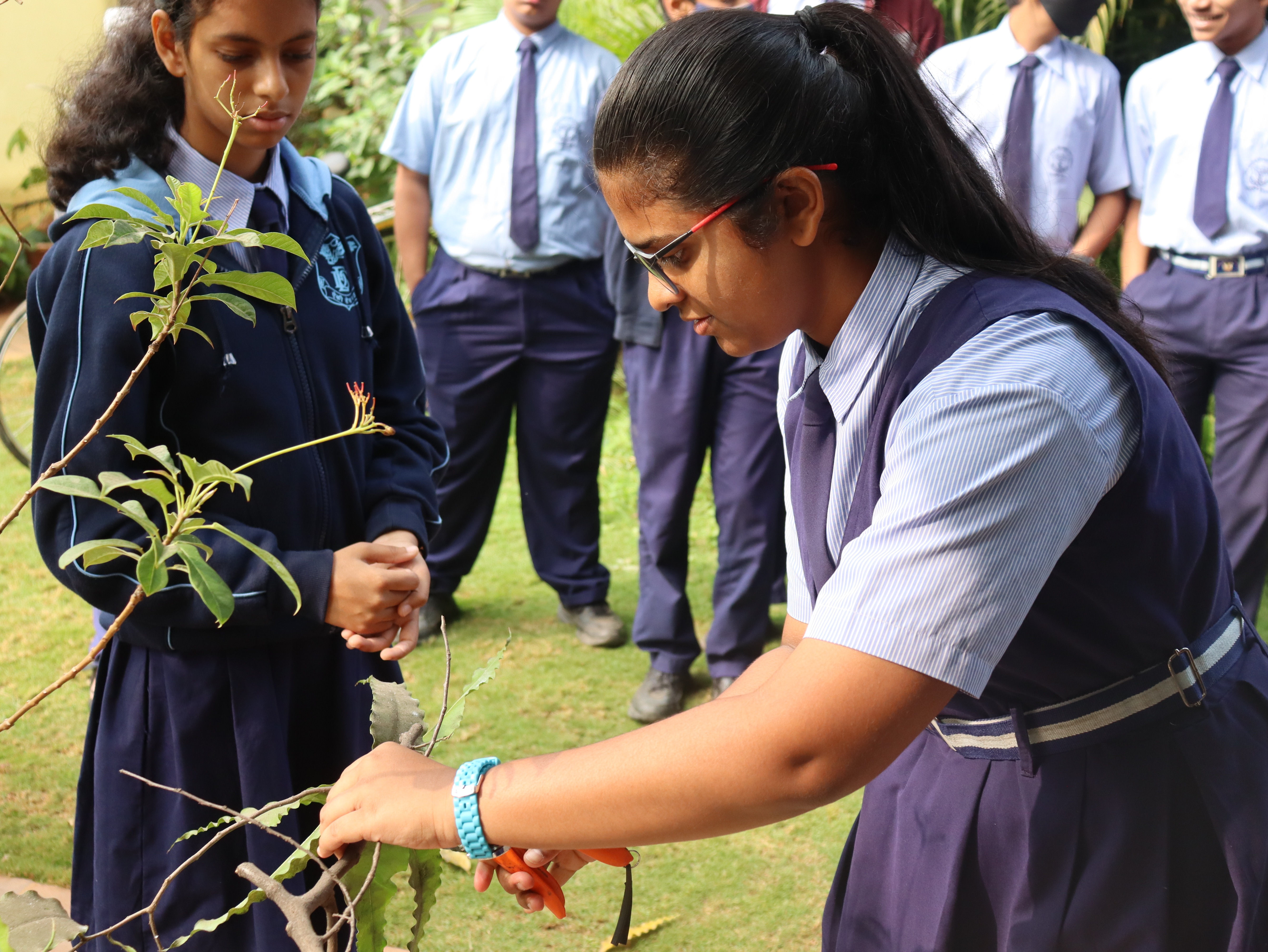 Students learning gardening and nursery skills